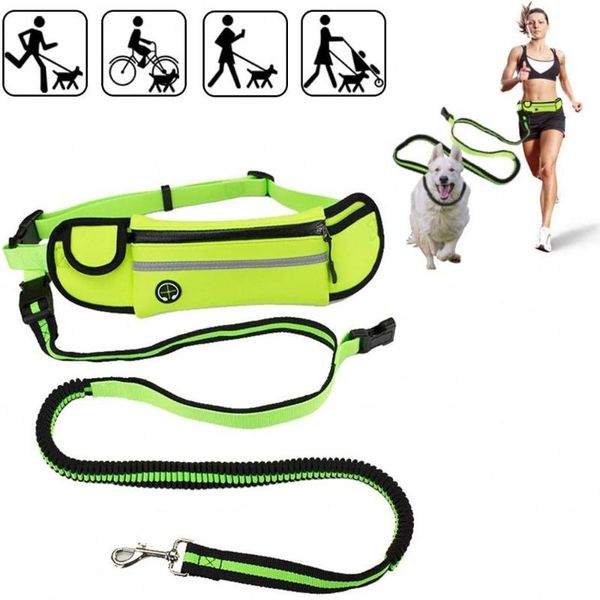 dog collars & leashes 2021 running leash set hands medium large collar pet accessories adjustable waist belt for harness
dog collars & leashes 2021 running leash set hands medium large collar pet accessories adjustable waist belt for harness