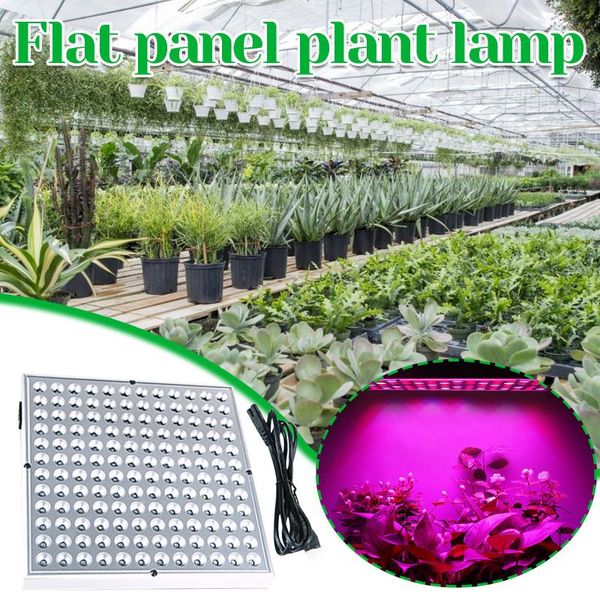 fast delivery led plants double head three four plant growing lights full light accessories grow
fast delivery led plants double head three four plant growing lights full light accessories grow