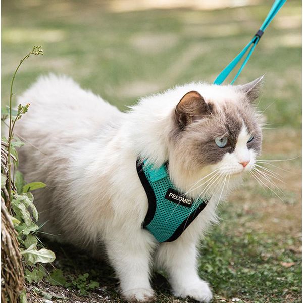 cat collars & leads harness and leash set adjustable escape proof vest with reflective strips for kitten puppy
cat collars & leads harness and leash set adjustable escape proof vest with reflective strips for kitten puppy
