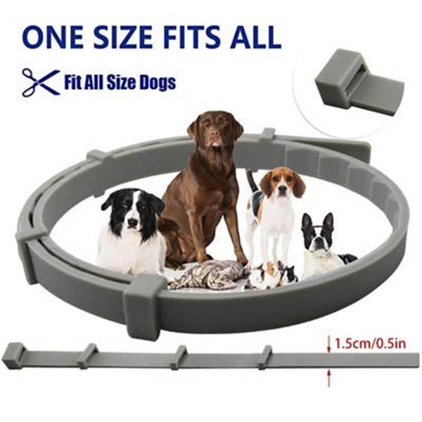 dog collars & leashes pest control collar for dogs adjustable cat neck strap anti flea mites tick pet accessories summer product
dog collars & leashes pest control collar for dogs adjustable cat neck strap anti flea mites tick pet accessories summer product