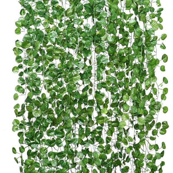 decorative flowers & wreaths imikeya 18pcs artificial vines 50pcs binding ties green creeper wreath hanging plants garland home garden wall
decorative flowers & wreaths imikeya 18pcs artificial vines 50pcs binding ties green creeper wreath hanging plants garland home garden wall