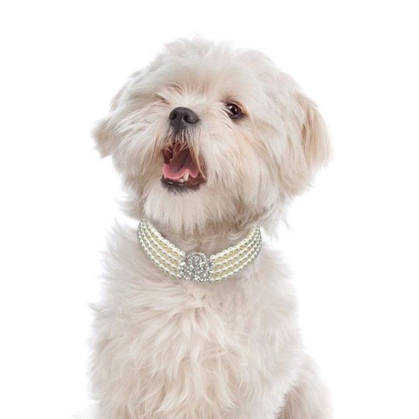 dog collars & leashes elegant crystal collar necklace choker style rhinestone pearl luxury pet accessories necklaces for chihuahua d40
dog collars & leashes elegant crystal collar necklace choker style rhinestone pearl luxury pet accessories necklaces for chihuahua d40