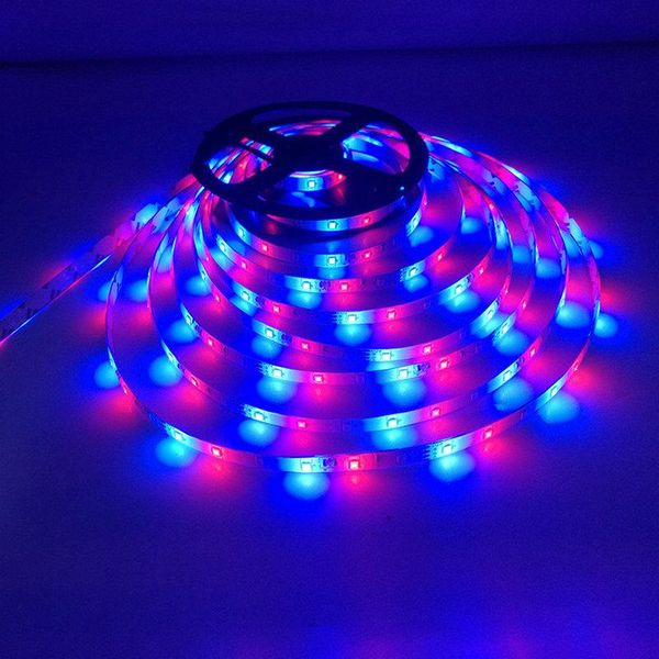 waterproof led strip kit 12v rgb light 5m 10m 2835 24key controller +adapter modules
waterproof led strip kit 12v rgb light 5m 10m 2835 24key controller +adapter modules