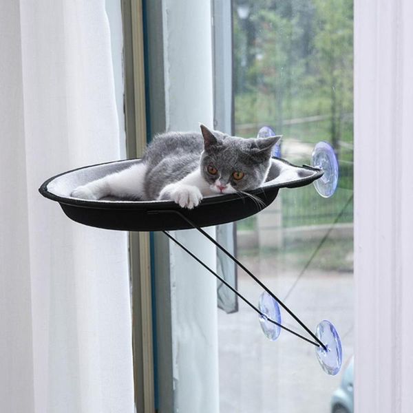 cat beds & furniture pet window mount hammock suction cups warm soft bed shelf cage rest seat
cat beds & furniture pet window mount hammock suction cups warm soft bed shelf cage rest seat