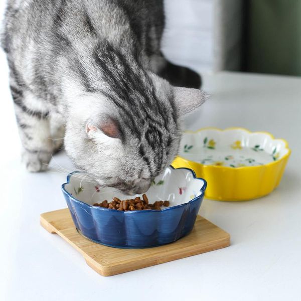 dog bowls & feeders pet water drinking food feeding ceramic bowl feeder for cat small medium puppy japanese style product accessories
dog bowls & feeders pet water drinking food feeding ceramic bowl feeder for cat small medium puppy japanese style product accessories