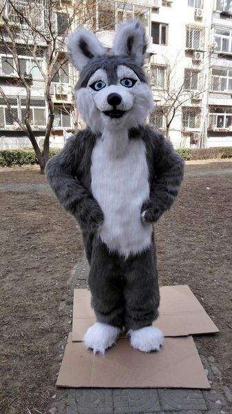 mascot doll costume halloween fursuit long fur fox husky dog mascot costume suit party game dress outfits xmas easter festival adults, Red;yellow
mascot doll costume halloween fursuit long fur fox husky dog mascot costume suit party game dress outfits xmas easter festival adults, Red;yellow