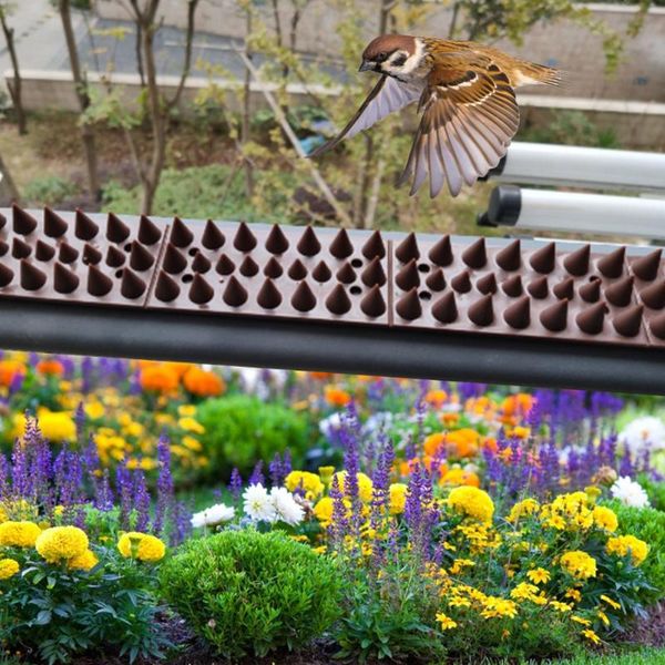 fencing, trellis & gates 5pcs/set harmless plastic bird spikes animal anti climb thorn anti-theft fencing wild cat fence for yard garden
fencing, trellis & gates 5pcs/set harmless plastic bird spikes animal anti climb thorn anti-theft fencing wild cat fence for yard garden