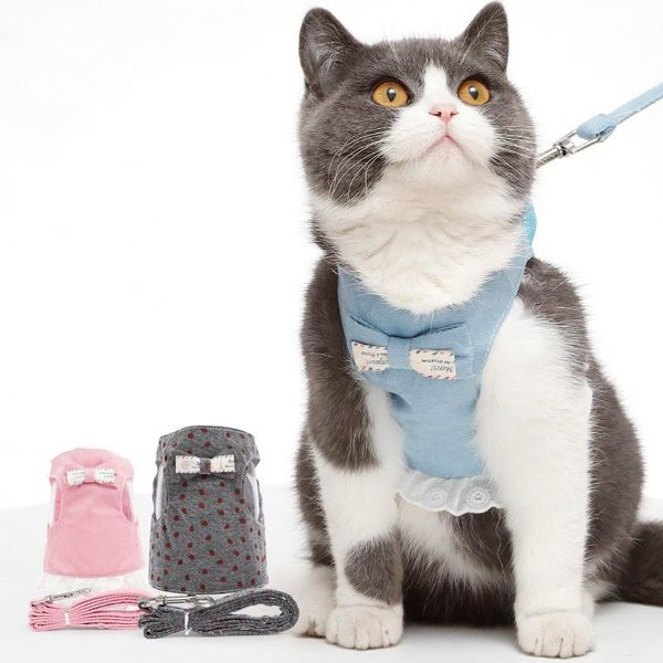 cat collars & leads pet harnesses personalized traction rope suit vest-style chest strap denim cotton is breathable comfortable soft small
cat collars & leads pet harnesses personalized traction rope suit vest-style chest strap denim cotton is breathable comfortable soft small