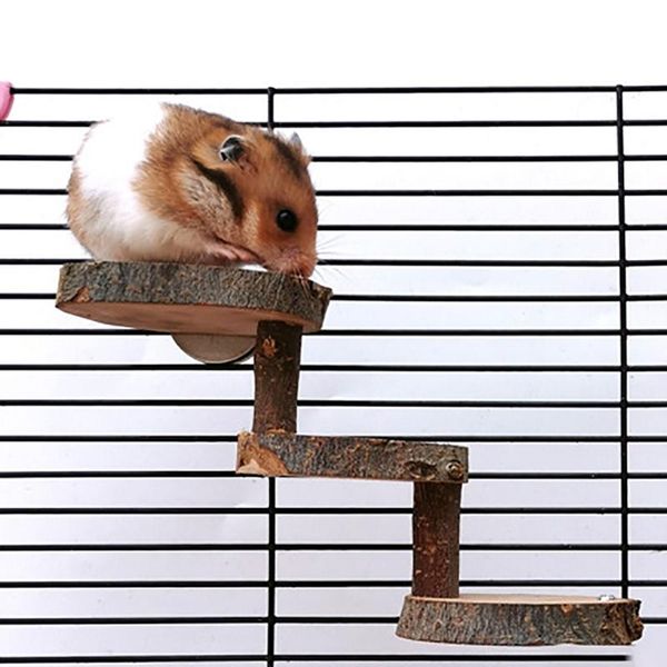 small animal supplies dorakitten hamster ladder bridge toy natural wooden platform climbing bite
small animal supplies dorakitten hamster ladder bridge toy natural wooden platform climbing bite