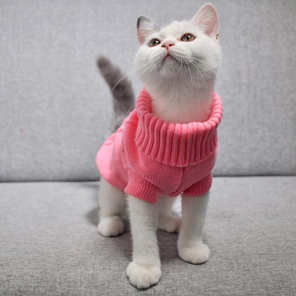 cat costumes small puppy pet dog knitted jumper sweater warm coat jacket winter clothes pure color ropa perro
cat costumes small puppy pet dog knitted jumper sweater warm coat jacket winter clothes pure color ropa perro