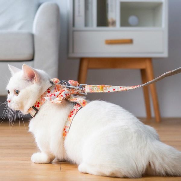 cat collars & leads harness vest adjustable puppy for small dog pet leash set traction rope bowtie accessories
cat collars & leads harness vest adjustable puppy for small dog pet leash set traction rope bowtie accessories