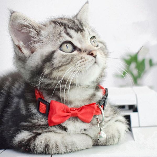 cat collar polyester necklace for kitty neck ring breakaway cats collars bow kitten pet accessories dog bowtie & leads
cat collar polyester necklace for kitty neck ring breakaway cats collars bow kitten pet accessories dog bowtie & leads