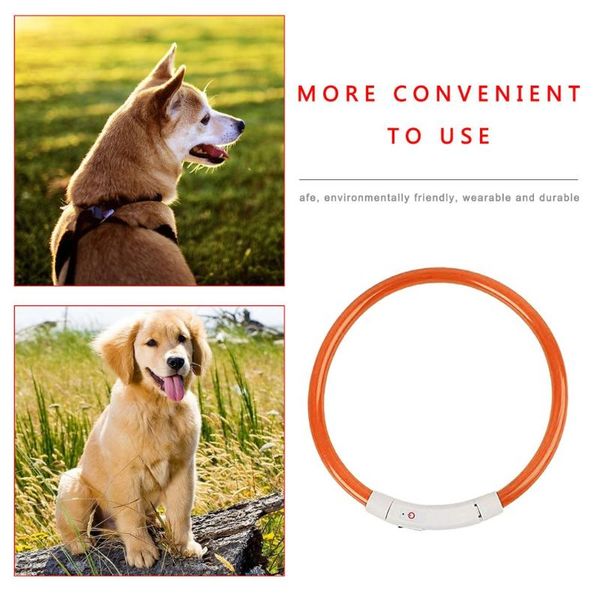 dog collars & leashes led pet collar anti-lost/ car accident avoid glowing/luminous usb rechargeable for cats dogs puppies
dog collars & leashes led pet collar anti-lost/ car accident avoid glowing/luminous usb rechargeable for cats dogs puppies