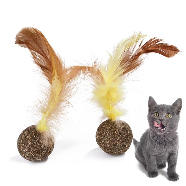 cat toys natural catnip mint feather treat ball toy scratcher motion activated teeth cleaning grinding
cat toys natural catnip mint feather treat ball toy scratcher motion activated teeth cleaning grinding