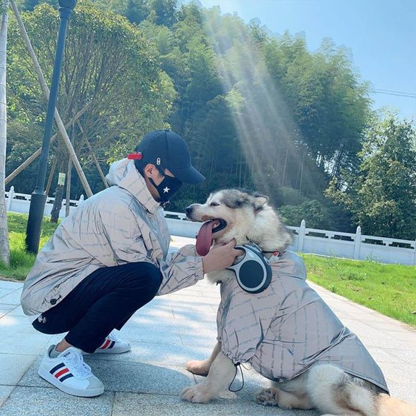 dog apparel winer clothes reflective big coat jacket windproof pets dogs clothing for large costume labrador golden retriver pug
dog apparel winer clothes reflective big coat jacket windproof pets dogs clothing for large costume labrador golden retriver pug