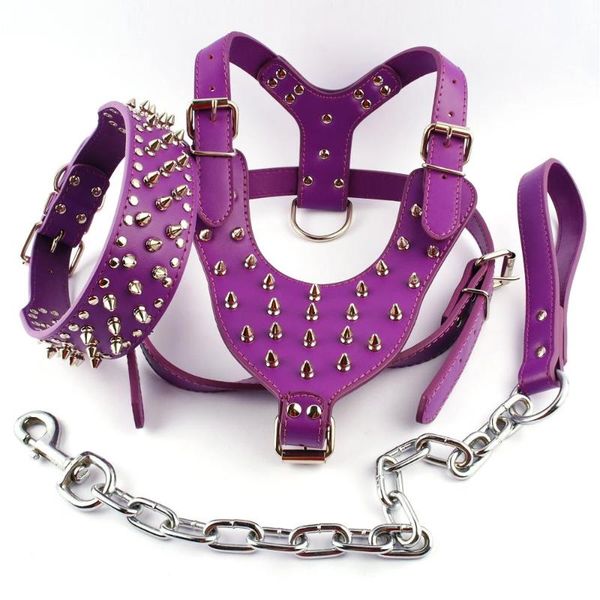 dog collars & leashes purple spiked studded leather harness collar and leash set for meduim large breeds pitbull
dog collars & leashes purple spiked studded leather harness collar and leash set for meduim large breeds pitbull