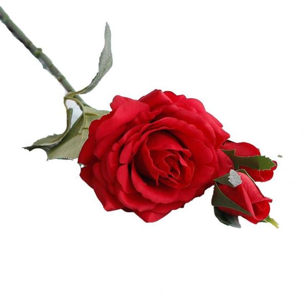 artificial flower multi-use bright-colored faux silk decorative rose display for gift living room party decoration flowers & wreaths
artificial flower multi-use bright-colored faux silk decorative rose display for gift living room party decoration flowers & wreaths