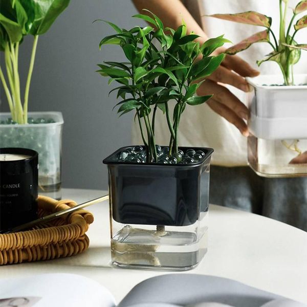 vases visual automatic water absorption flowerpot plastic transparent hydroponic home indoor potted succulent
vases visual automatic water absorption flowerpot plastic transparent hydroponic home indoor potted succulent