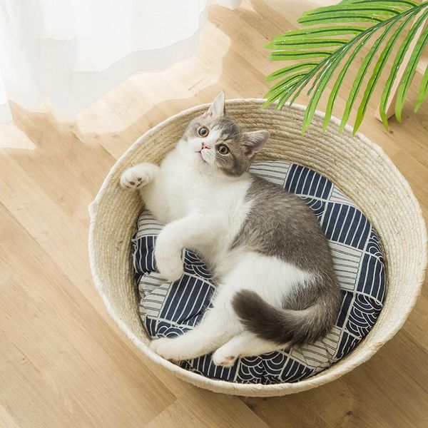 cat beds & furniture pet woven basket litter four seasons universal rattan warm puppy mat bed housewares
cat beds & furniture pet woven basket litter four seasons universal rattan warm puppy mat bed housewares