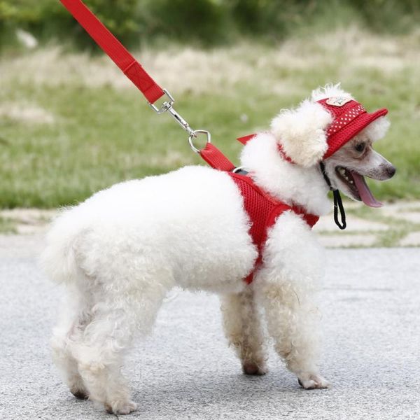 dog apparel pet comfortable sun protective hat with breathable net cloth puppy summer fashion cap
dog apparel pet comfortable sun protective hat with breathable net cloth puppy summer fashion cap