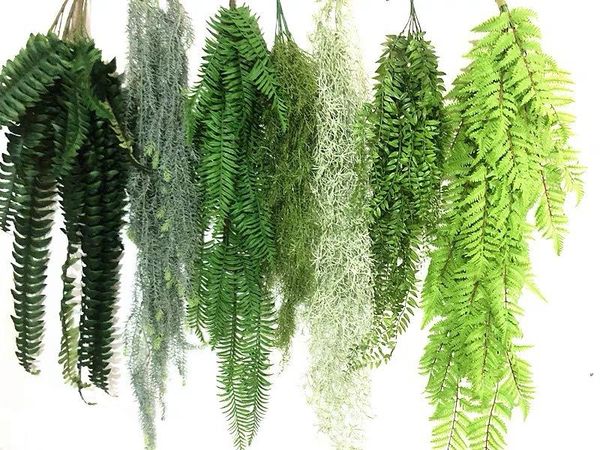 decorative flowers & wreaths hanging plants artificial greenery fern grass green wall plant silk air pine needle
decorative flowers & wreaths hanging plants artificial greenery fern grass green wall plant silk air pine needle