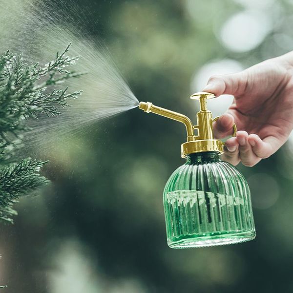 200ml plant sprayer glass watering garden pot bottle flower spray small can practical tool equipments
200ml plant sprayer glass watering garden pot bottle flower spray small can practical tool equipments