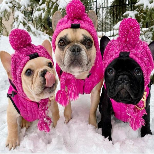 dog apparel dogs hat autumn and winter fur ball warm windproof fluffy knitting method to fight the big pet headgear
dog apparel dogs hat autumn and winter fur ball warm windproof fluffy knitting method to fight the big pet headgear