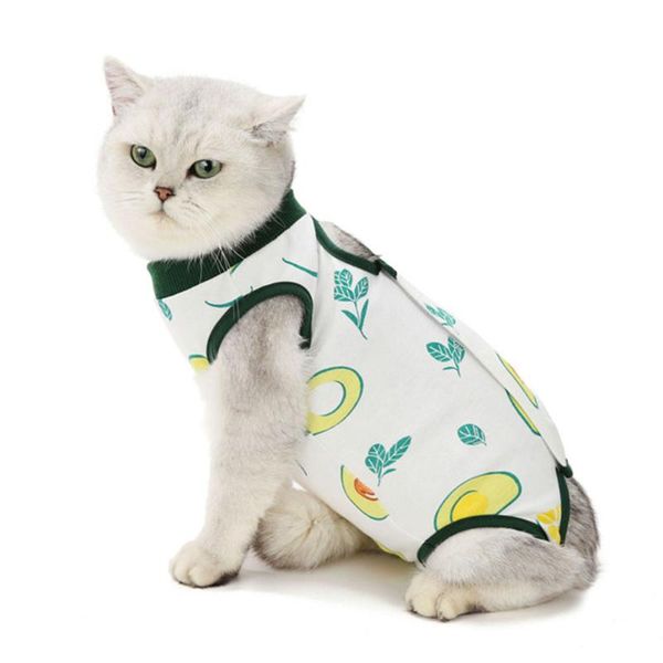 cat costumes recovery suit onesie shirt after puppy dog clothes abdominal wounds bandages alternative prevent licking
cat costumes recovery suit onesie shirt after puppy dog clothes abdominal wounds bandages alternative prevent licking