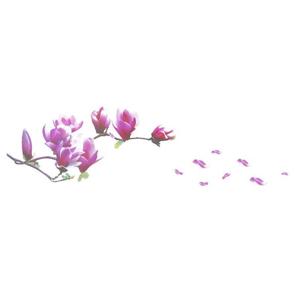 wall stickers large magnolia flowers mural art decal