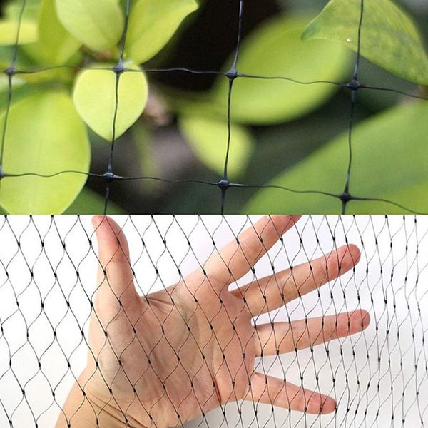 fencing, trellis & gates black anti bird netting poultry net aviary for vegetables plants and fruit trees garden orchard anti-bird
fencing, trellis & gates black anti bird netting poultry net aviary for vegetables plants and fruit trees garden orchard anti-bird