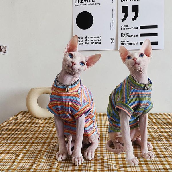 cat costumes clothes for sphints kitten spring and autumn sphinx sweater fashion striped sphynx sweatshirt cool vest
cat costumes clothes for sphints kitten spring and autumn sphinx sweater fashion striped sphynx sweatshirt cool vest