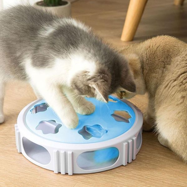 cat toys practical furniture household items house home supplies balance car chasing funny pet products for drop
cat toys practical furniture household items house home supplies balance car chasing funny pet products for drop
