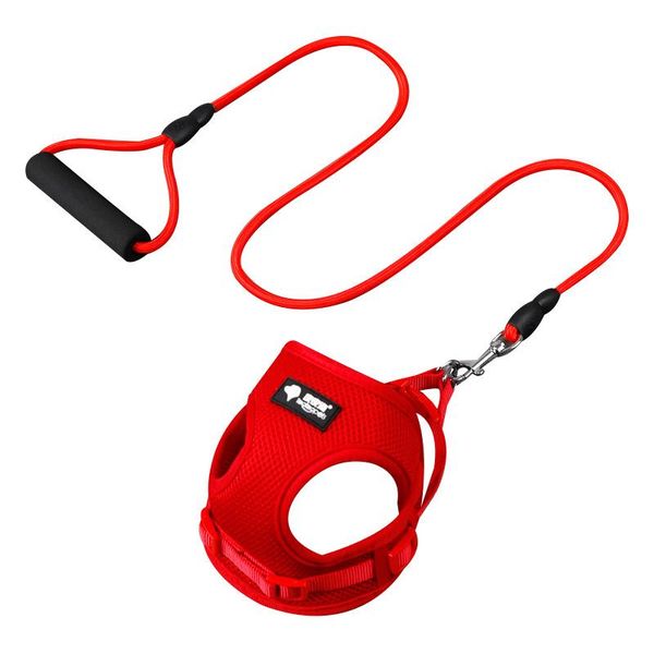 dog sandwich mesh cloth chest traction rope back small and medium-sized chain pet supplies collars & leashes
dog sandwich mesh cloth chest traction rope back small and medium-sized chain pet supplies collars & leashes