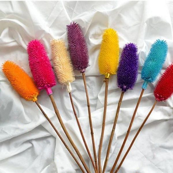 decorative flowers & wreaths real nature dried dipsacus sativus flower diy accessories christmas wedding home decoration shooting props orna
decorative flowers & wreaths real nature dried dipsacus sativus flower diy accessories christmas wedding home decoration shooting props orna