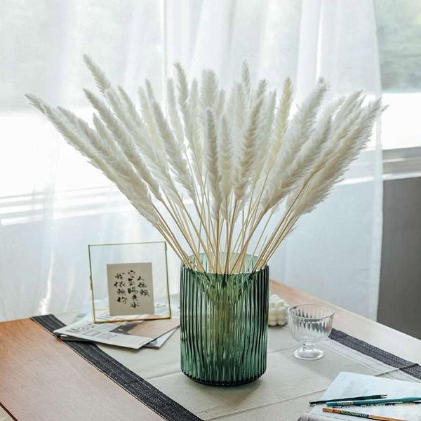 decorative flowers & wreaths 30pcs white pink real pampas grass bouquet natural dried home decor wedding accessories party decoration
decorative flowers & wreaths 30pcs white pink real pampas grass bouquet natural dried home decor wedding accessories party decoration