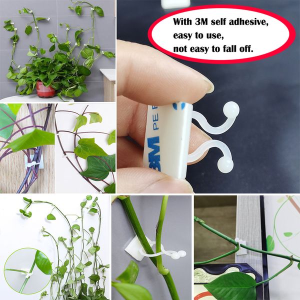 10pcs plant climbing wall selfadhesive fastener tied fixture vine buckle hook garden plant wall climbing vine clips fixed buckle hook
10pcs plant climbing wall selfadhesive fastener tied fixture vine buckle hook garden plant wall climbing vine clips fixed buckle hook
