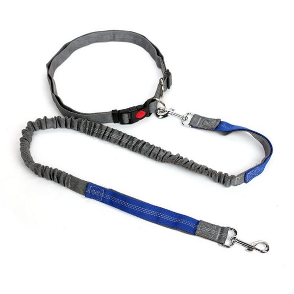 dog collars & leashes pet net cloth sports bag elastic belt hands retractable leash running walking set for large small
dog collars & leashes pet net cloth sports bag elastic belt hands retractable leash running walking set for large small