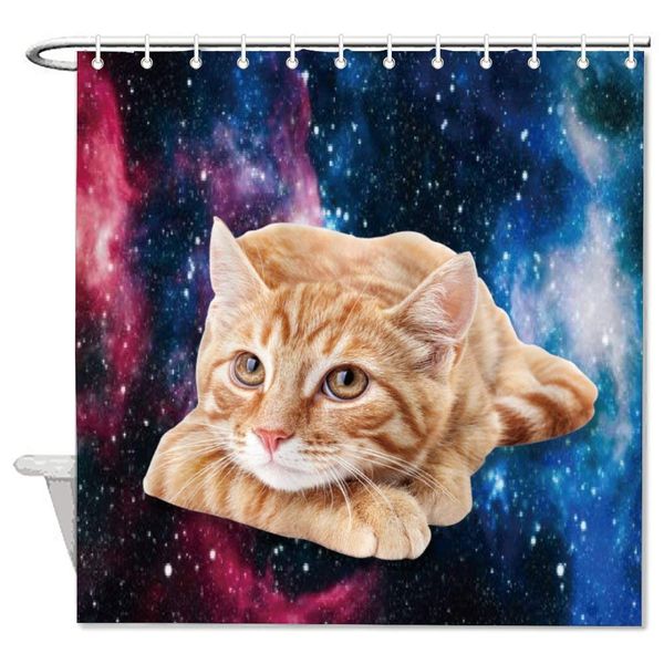 cat felidae kitten outer space sky space tabby cat whiskers bath decorative shower curtain bathroom accessories,water proof
cat felidae kitten outer space sky space tabby cat whiskers bath decorative shower curtain bathroom accessories,water proof