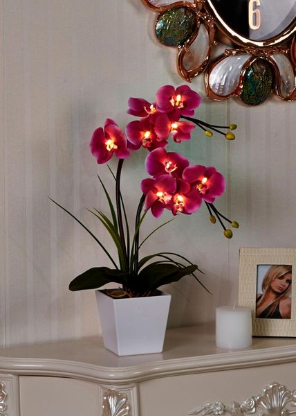 decorative flowers & wreaths 20" (50cm) led blossom orchid flower light 9pcs warmled with 2* battery pot , 9 buds
decorative flowers & wreaths 20" (50cm) led blossom orchid flower light 9pcs warmled with 2* battery pot , 9 buds