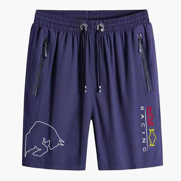 new sale 2021f1 team racing suit shorts formula 1 f1 clothes summer polyester quick-drying sports pants men
new sale 2021f1 team racing suit shorts formula 1 f1 clothes summer polyester quick-drying sports pants men