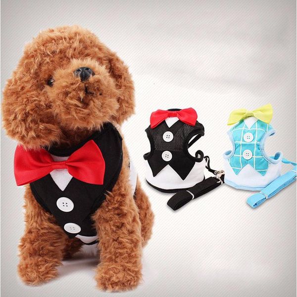 dog collars & leashes fashion harness leash pet leads for small dogs puppy vest with bow tie party wedding formal tuxedo costume
dog collars & leashes fashion harness leash pet leads for small dogs puppy vest with bow tie party wedding formal tuxedo costume