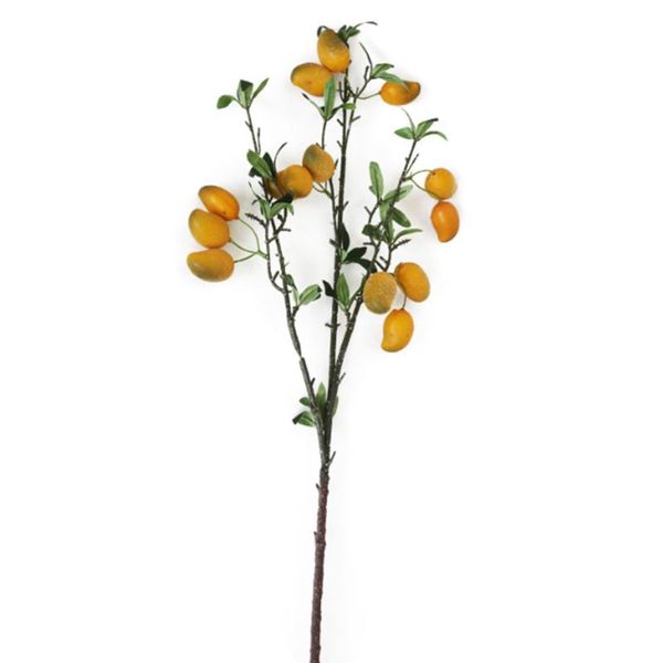 decorative flowers & wreaths arrangement shooting props simulation wild berries apple branch artificial flower for home wedding party decora
decorative flowers & wreaths arrangement shooting props simulation wild berries apple branch artificial flower for home wedding party decora
