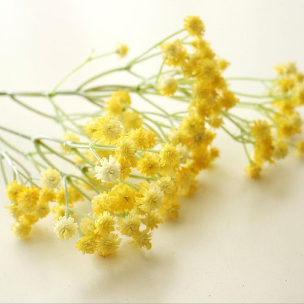 decorative flowers & wreaths pu flexible glue feel hipster baby's breath artificial flower plastic home decoration wedding
decorative flowers & wreaths pu flexible glue feel hipster baby's breath artificial flower plastic home decoration wedding
