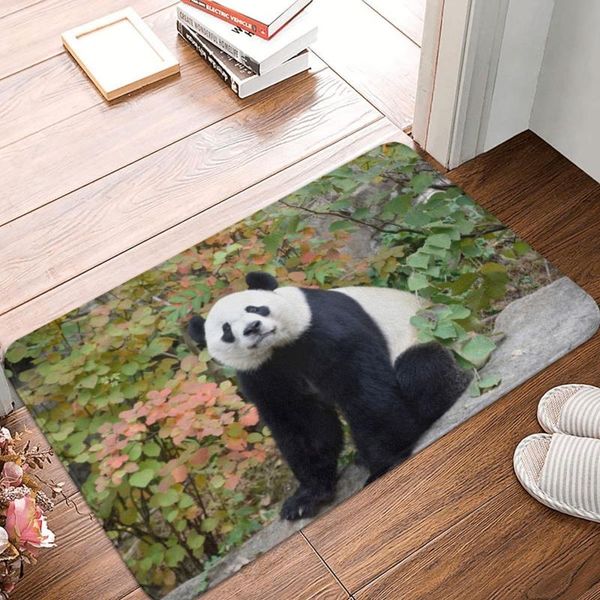 carpets bei at the national zoo doormat carpet mat rug polyester non-slip floor decor bath bathroom kitchen bedroom 40x60
carpets bei at the national zoo doormat carpet mat rug polyester non-slip floor decor bath bathroom kitchen bedroom 40x60