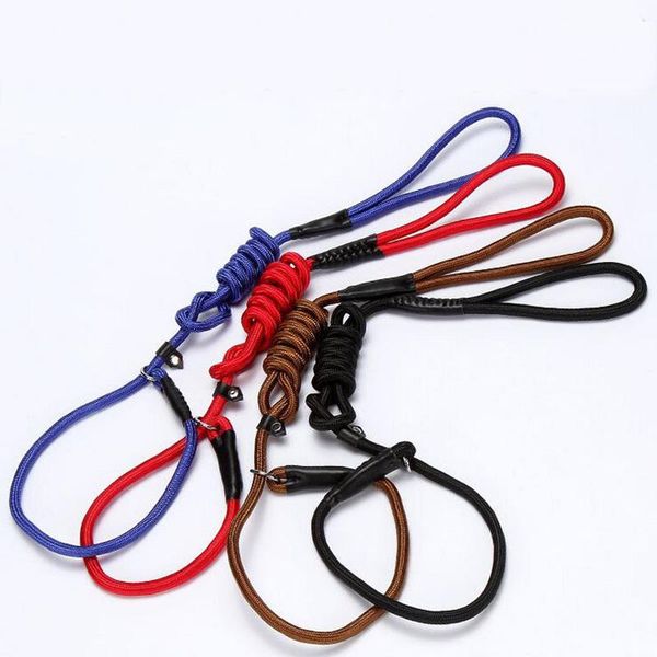 dog collars & leashes 3 size pet small medium large walking nylon traction rope adjustable training p chain collar
dog collars & leashes 3 size pet small medium large walking nylon traction rope adjustable training p chain collar