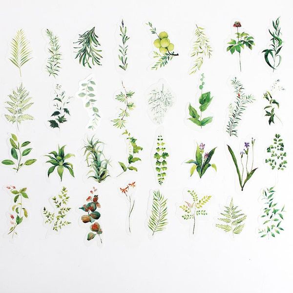 green leafy plant stickers diy scrapbook base collage mobile computer diary happy plan gift sealing decoration wrap
green leafy plant stickers diy scrapbook base collage mobile computer diary happy plan gift sealing decoration wrap