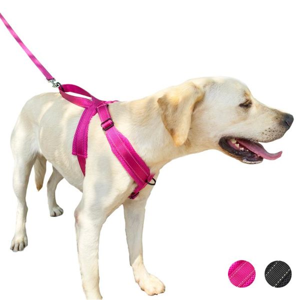 dog collars & leashes no-pull harness with handle reflective soft padded vest, easy adjust walking vest for small medium large dogs
dog collars & leashes no-pull harness with handle reflective soft padded vest, easy adjust walking vest for small medium large dogs