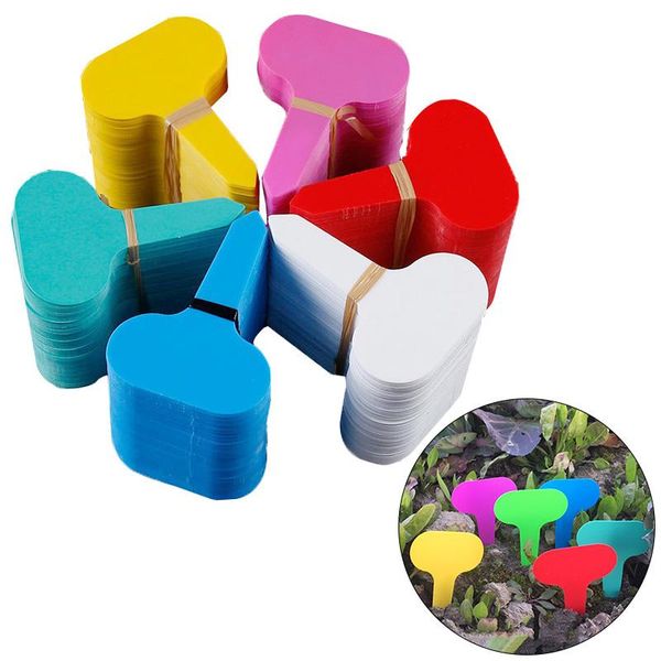 other garden supplies 50pcs t-type plant tag plastic colorful markers bonsai succulent seedlings tags sign gardening labels decor
other garden supplies 50pcs t-type plant tag plastic colorful markers bonsai succulent seedlings tags sign gardening labels decor