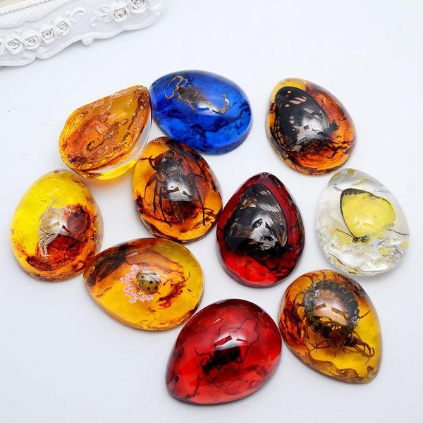 decorative objects & figurines 1pc originality artificial natural insects amber butterfly scorpions pendant jewelry gift stone ornament diy
decorative objects & figurines 1pc originality artificial natural insects amber butterfly scorpions pendant jewelry gift stone ornament diy