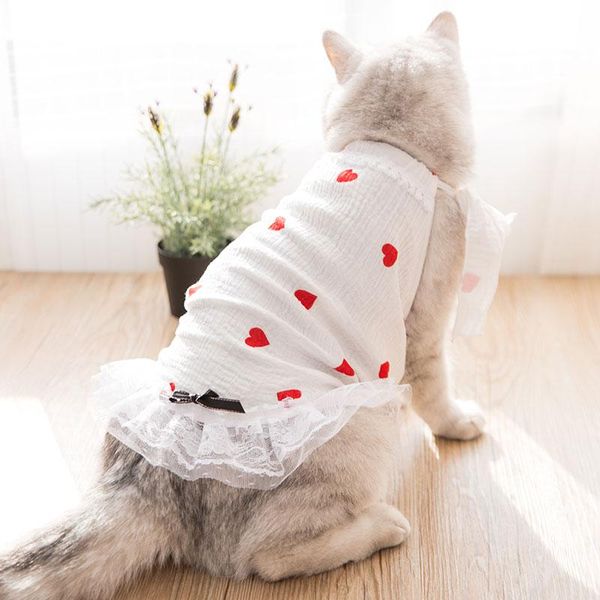 cat costumes cute windproof costume dresses outfit fashion animal clothes suit for cold weather vestidos para gato clothing oo50qz
cat costumes cute windproof costume dresses outfit fashion animal clothes suit for cold weather vestidos para gato clothing oo50qz